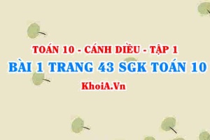 Bài 1 trang 43 SGK Toán 10 tập 1 Cánh Diều